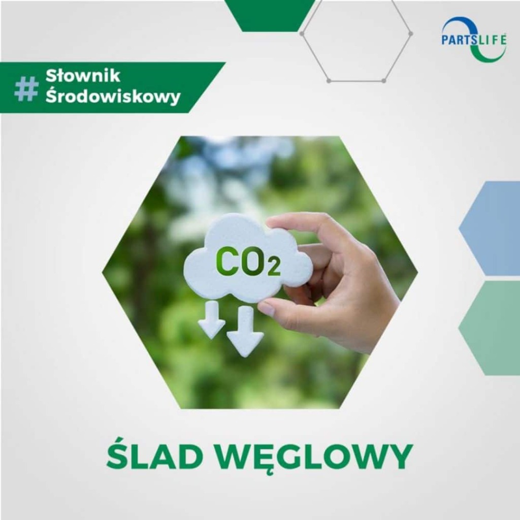 W ostatnich latach coraz częściej słyszymy o konieczności redukcji śladu węglowego.